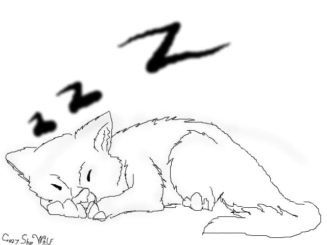 Sweet Dreams