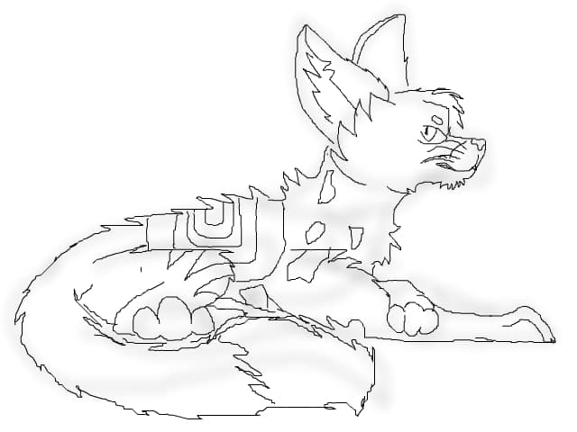 Warrior cats