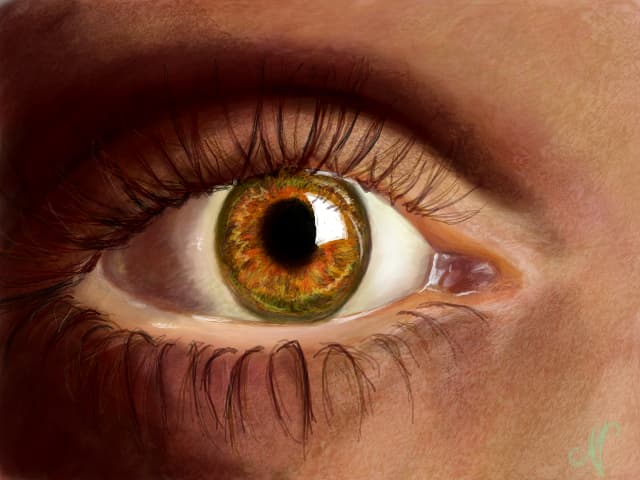 eye