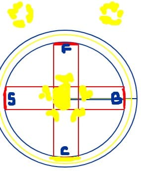 fcsb