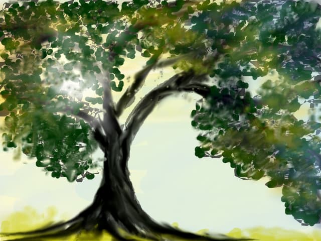 copac