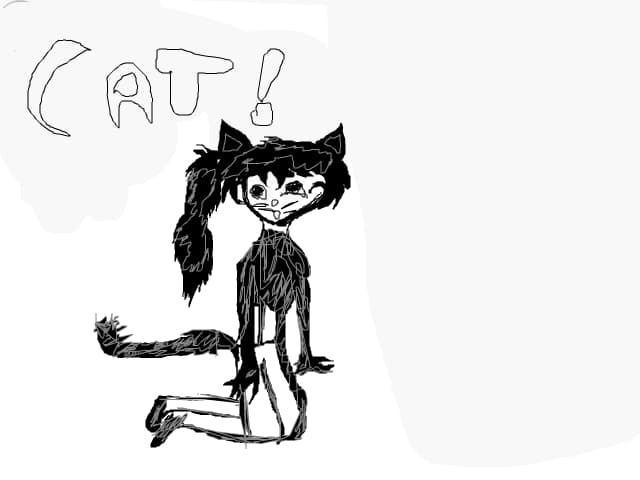 cat