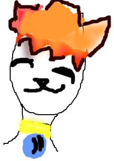Anime cat