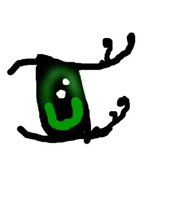 OCHI