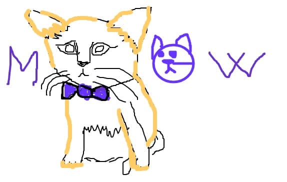 Pisica Meow