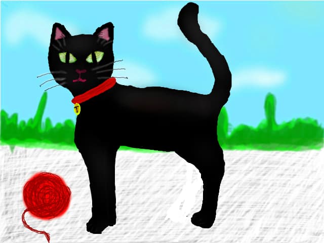 Tom