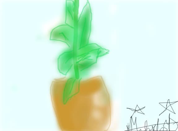 FICUS