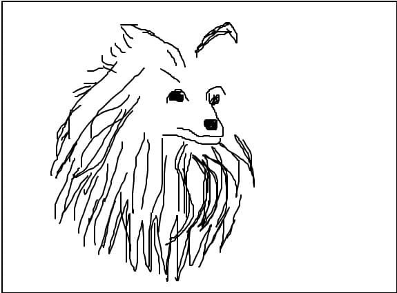 ham