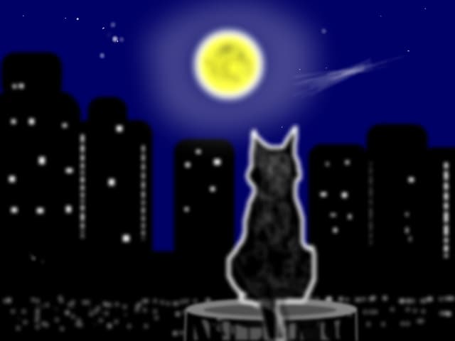 Night City
