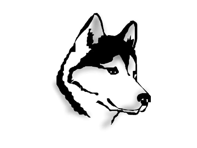 Hasky