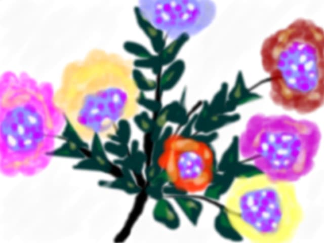 flori