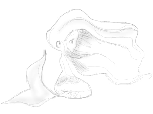 Mermaid