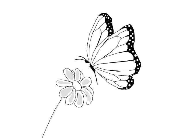 Floare