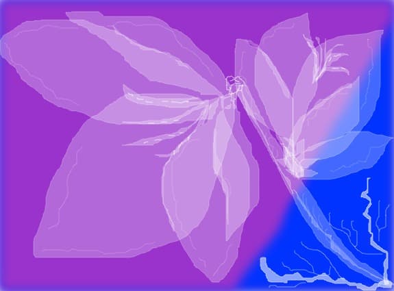 AMAZONIA