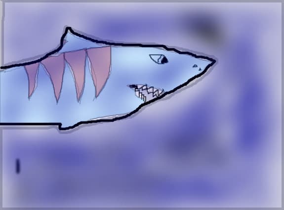 tiger shark