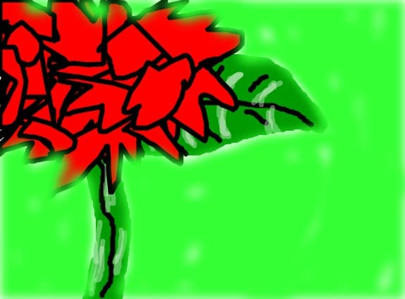 o floare