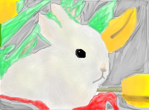 bunny :X:X:X:X:X:X