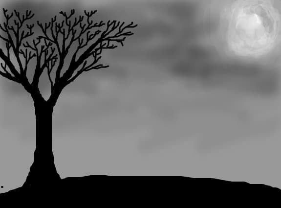 night