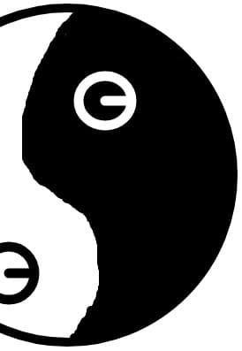ying+yang=VOI