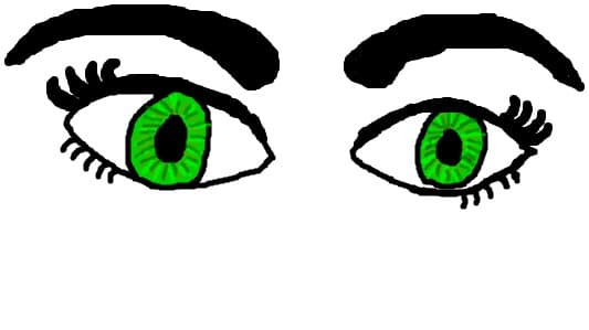 my eyes