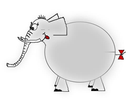 elefant