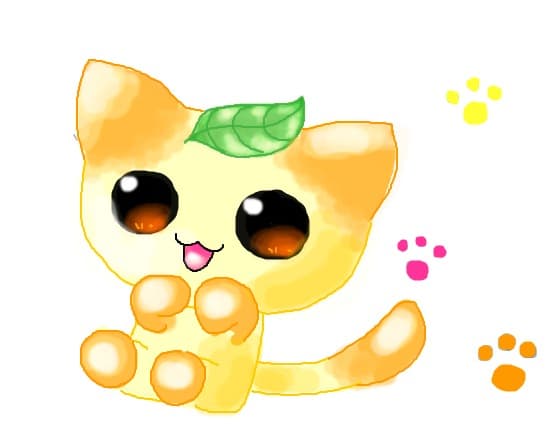 Kitty...i think i\'m bored!!!