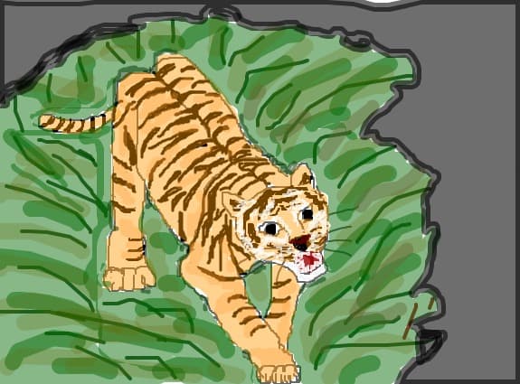 tigru