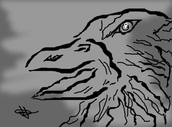 Hawk face