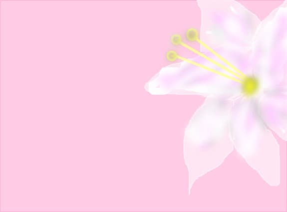 Floricica