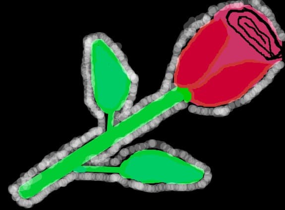 rose