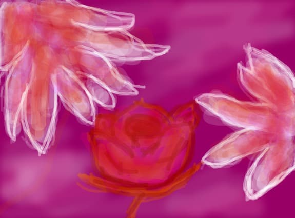 un trandafir cu o floare