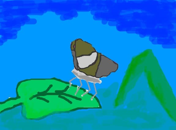 fluturash