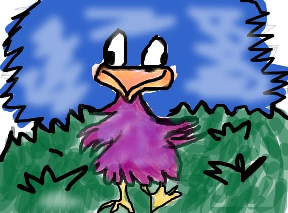 bird