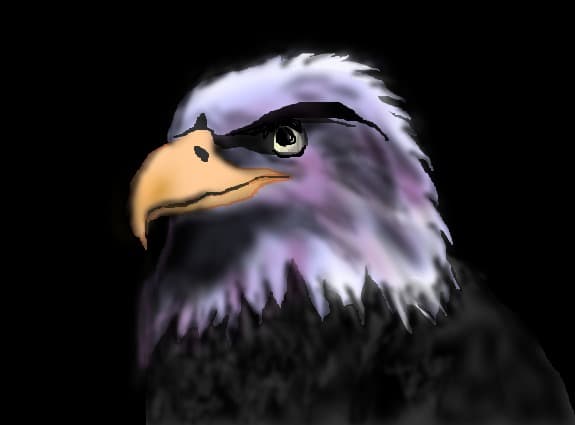 eagle