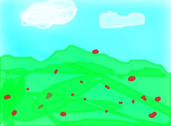 camp de maci