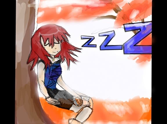 Sora doarme