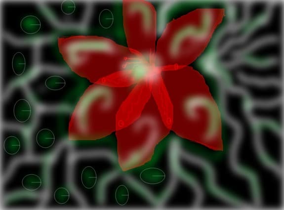 fleur de la pasione