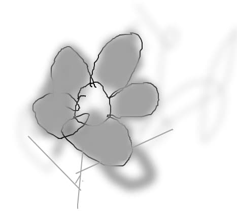 FLOAREA TRISRETII