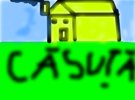 o casuta