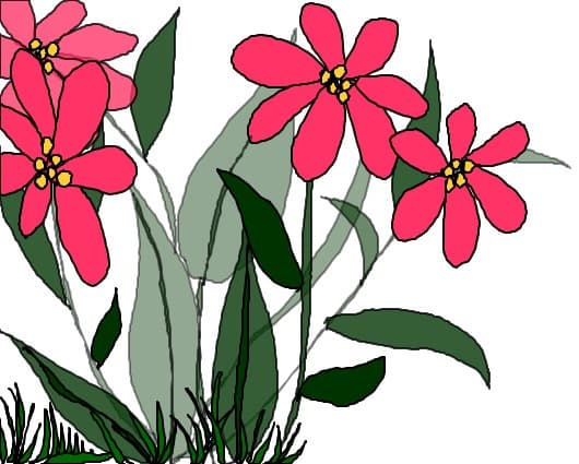 Quick flowers