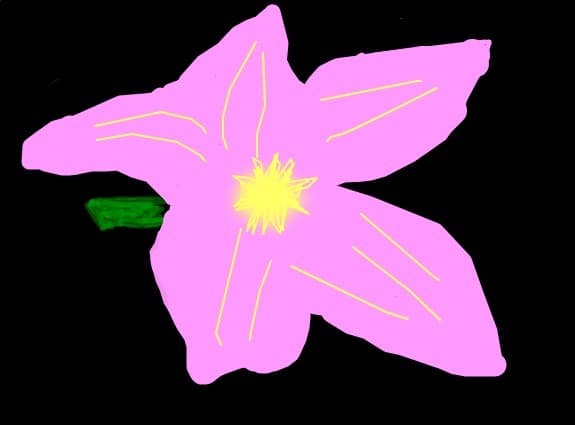 floaree