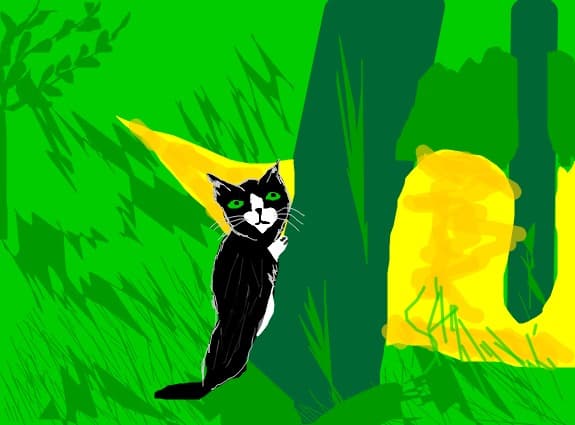 cat