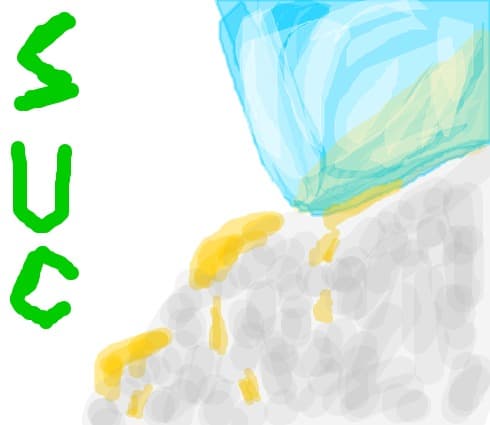 suc