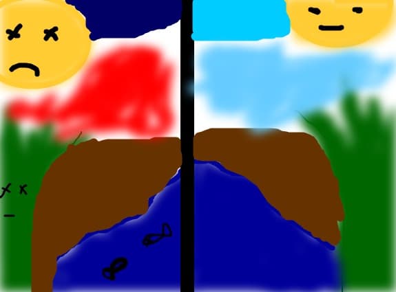 Ecologia