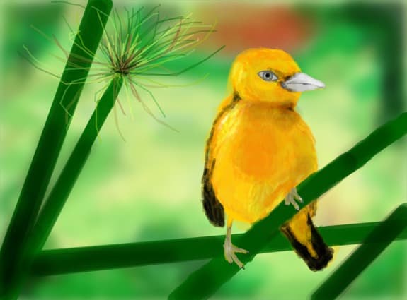 bird...