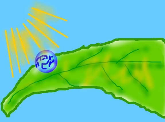 roua
