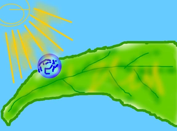 roua