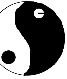 in yang