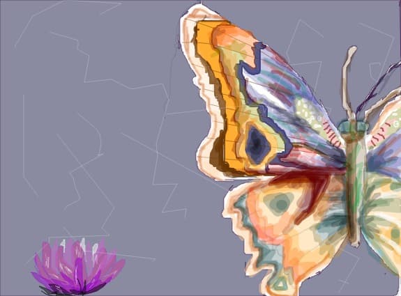 butterfly