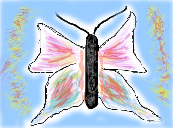 butterfly